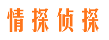 鲁甸寻人公司